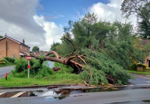 历史罕见极端大风来袭！如何用玻纤网格布加固建筑...