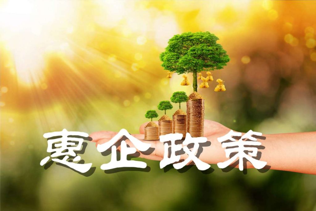 以中央文件形式出台的综合性民生政策