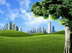 China’s Green Development Model Inspires Global...