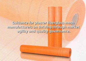 Plaster Fiberglass Mesh: Balancing Regulation &...