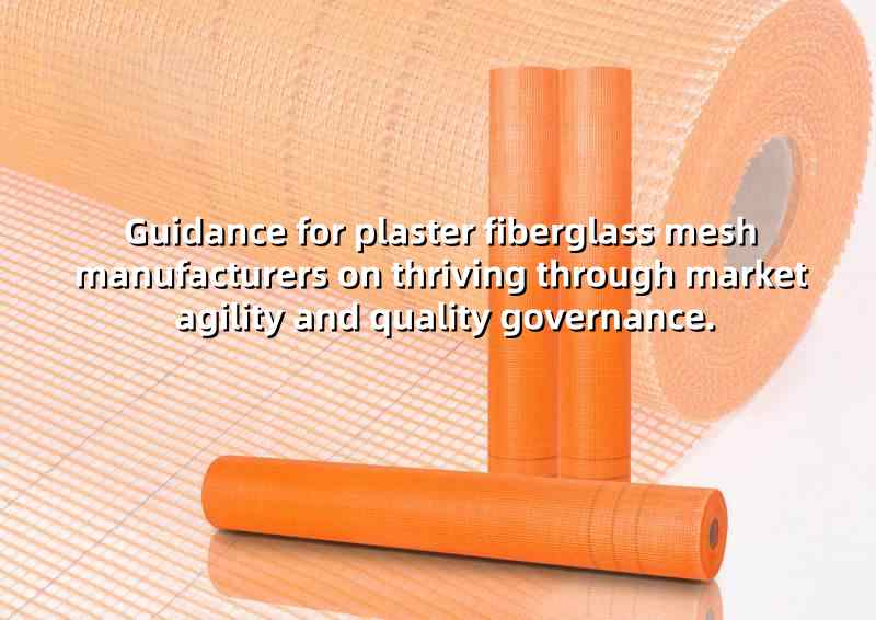 Plaster Fiberglass Mesh: Balancing Regulation &...