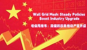 Wall Grid Mesh Growth: Steady Policies, New Opp...